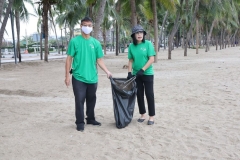 20250225-green-04