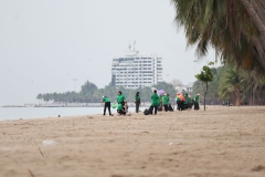 20250225-green-96
