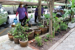 Big-Cleaning-Day-10