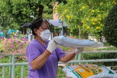 Big-Cleaning-Day-52