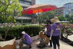 Big-Cleaning-Day-84
