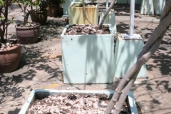 25660515-7S-184