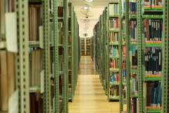 DSCF7837