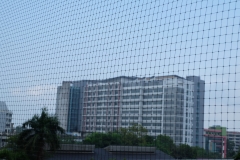 DSCF7914