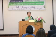 25660811-green-016