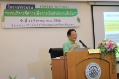 25660811-green-019