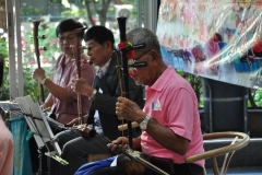 25621217-PIC0013