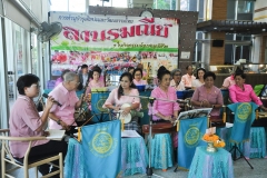 25621217-PIC0031