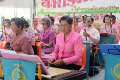 25620319-PIC0061