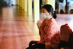 Mylib-wetkao-12-1